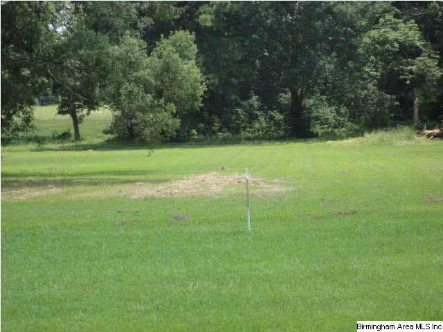 Greensport Road, Unit 7 Ashville, AL 35953 - Photo 1 of 8