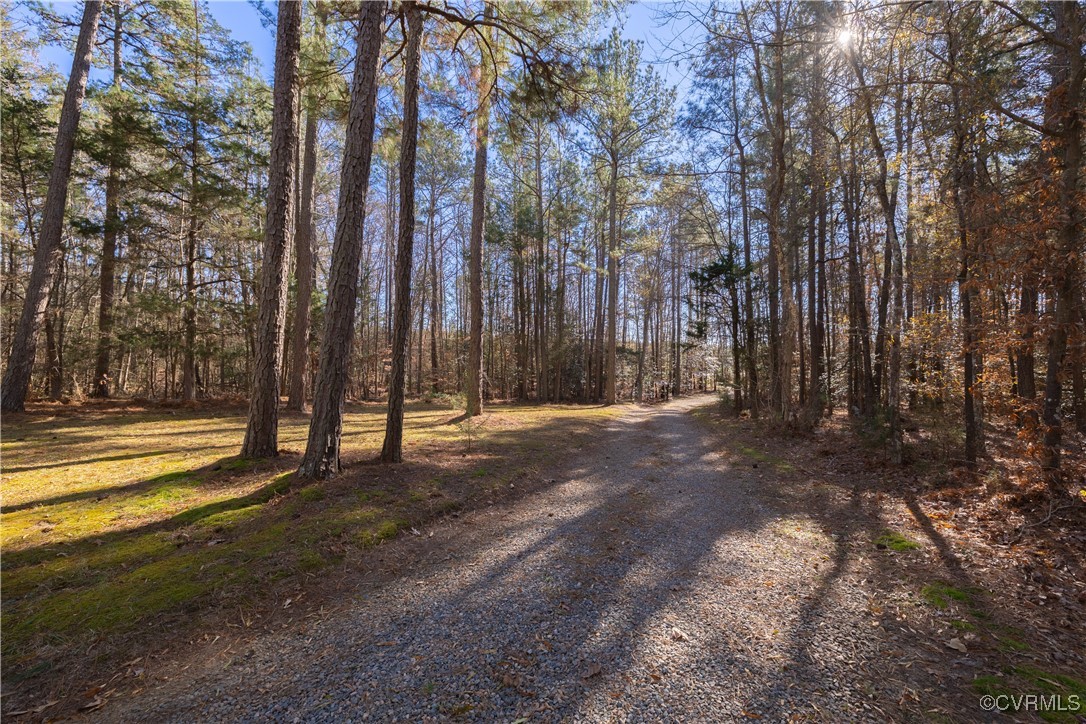2300 Namozine Road Church Road, VA 23833 - Photo 2 of 38 Gallery Image 2