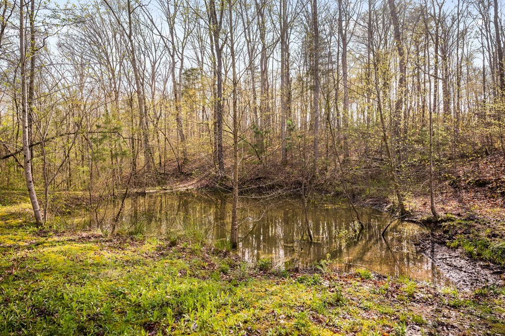 1662 Chestuee Road Northeast Cleveland, TN 37323 - Photo 11 of 27 Gallery Image 11