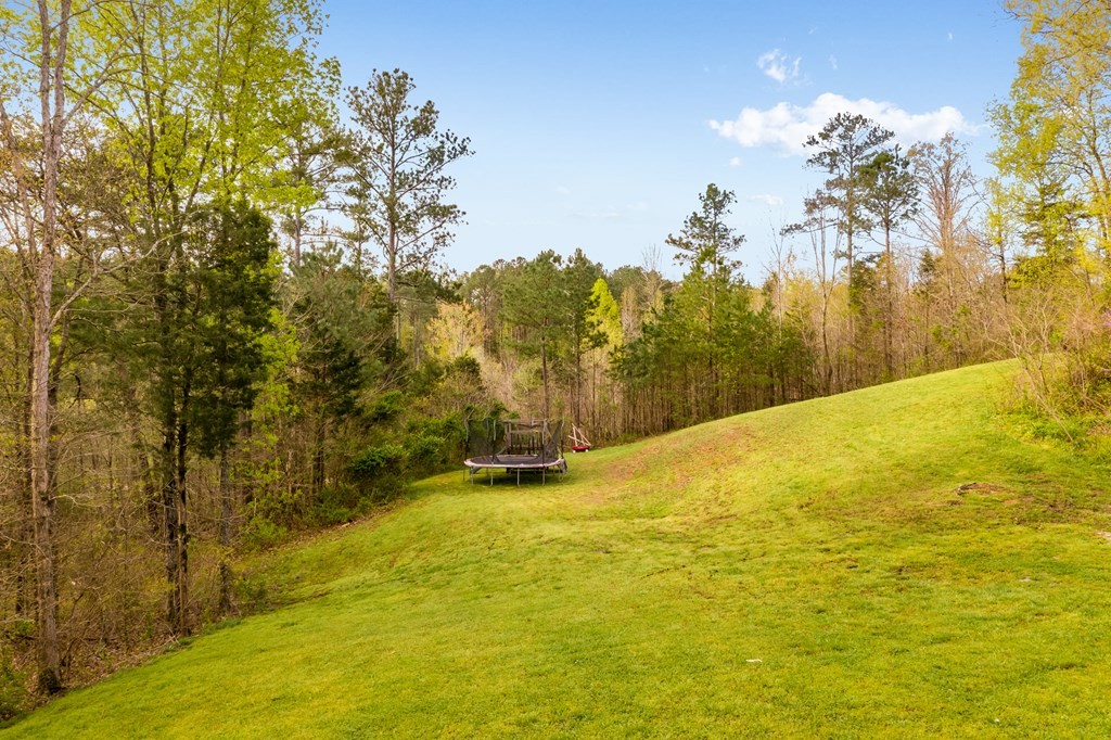 1662 Chestuee Road Northeast Cleveland, TN 37323 - Photo 6 of 27 Gallery Image 6
