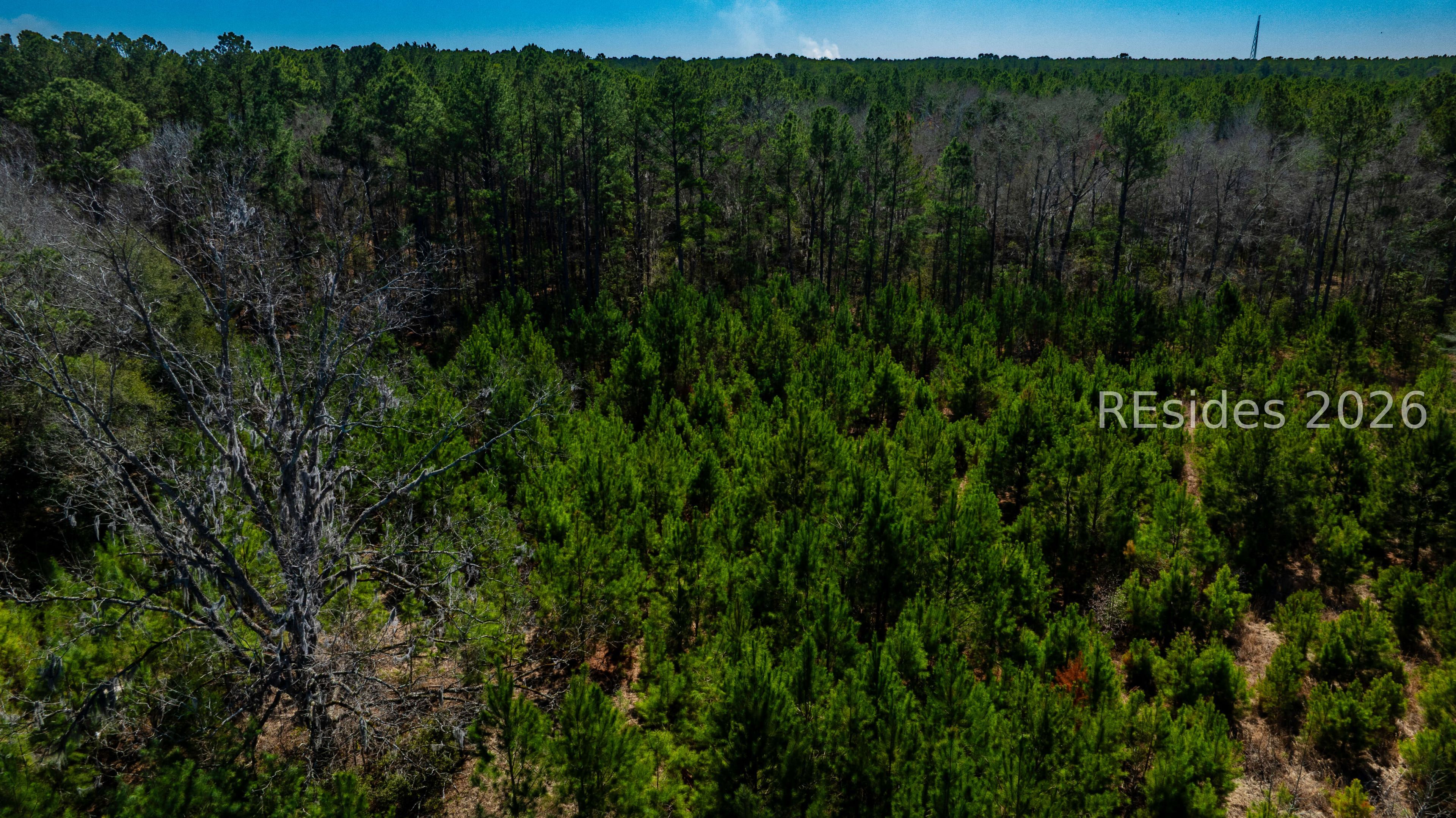 Tbd Firetower Road Ridgeland, SC 29936 - Photo 33 of 37