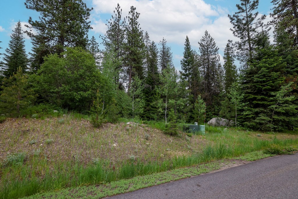 431 Timbercrest Loop, Unit 4 McCall, ID 83638 - Photo 4 of 28