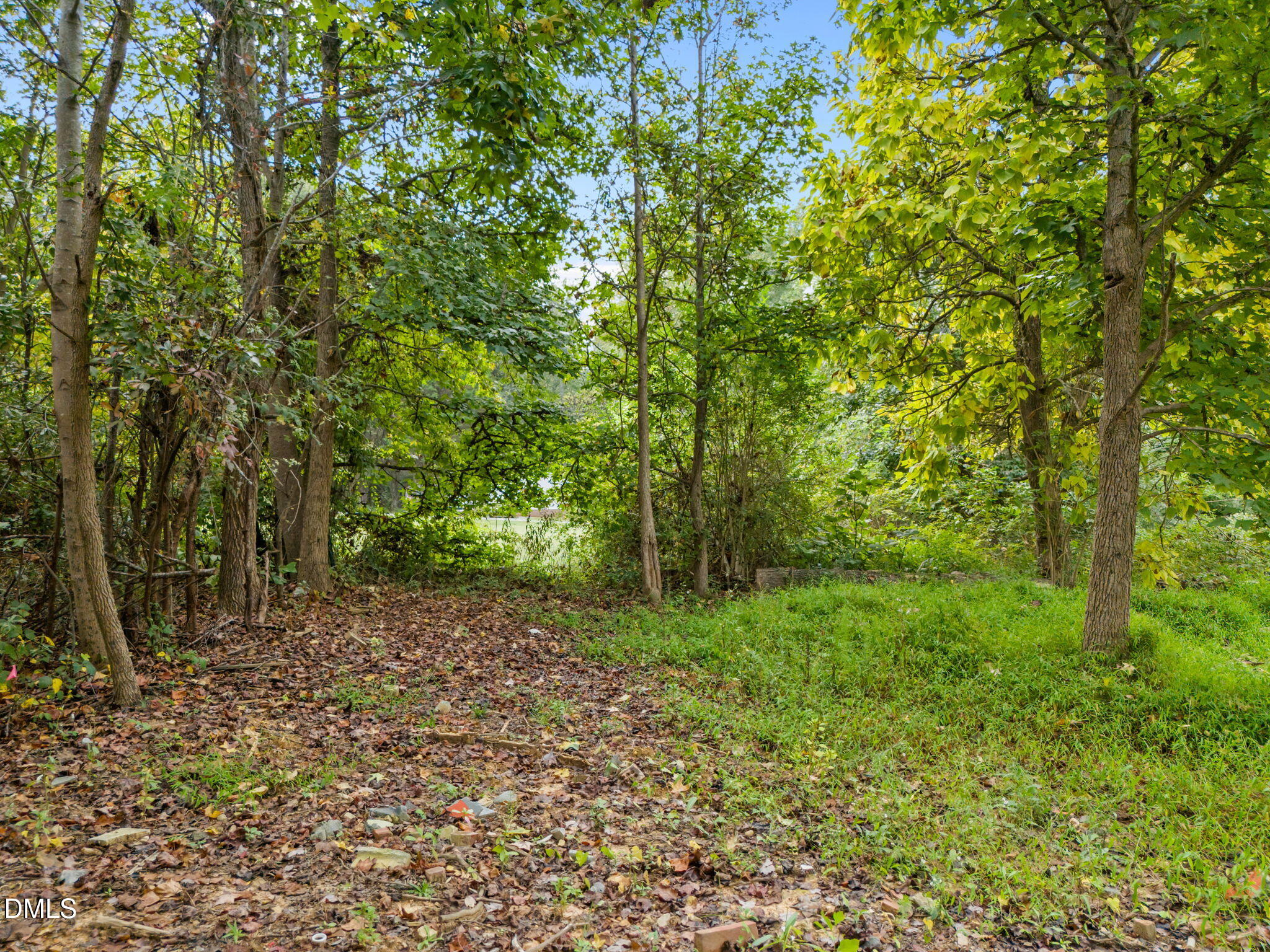 2253 Surl Mount Tirzah Road Timberlake, NC 27583 - Photo 9 of 28 15-web-or-mls-DJI_20250925113454_0015_D