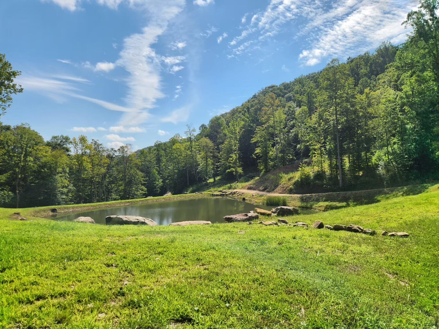 170 Birch Hollow Road Stanton, KY 40380 - Photo 11 of 25