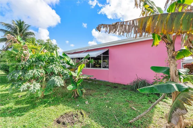 a view of a book shop with potted plants