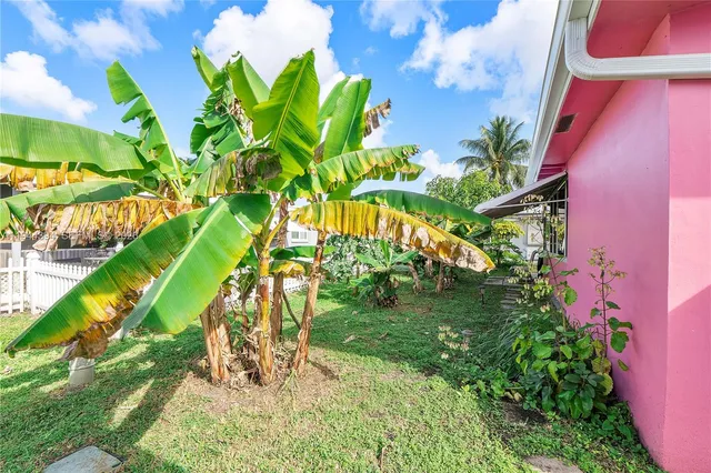 a view of a yard with plants