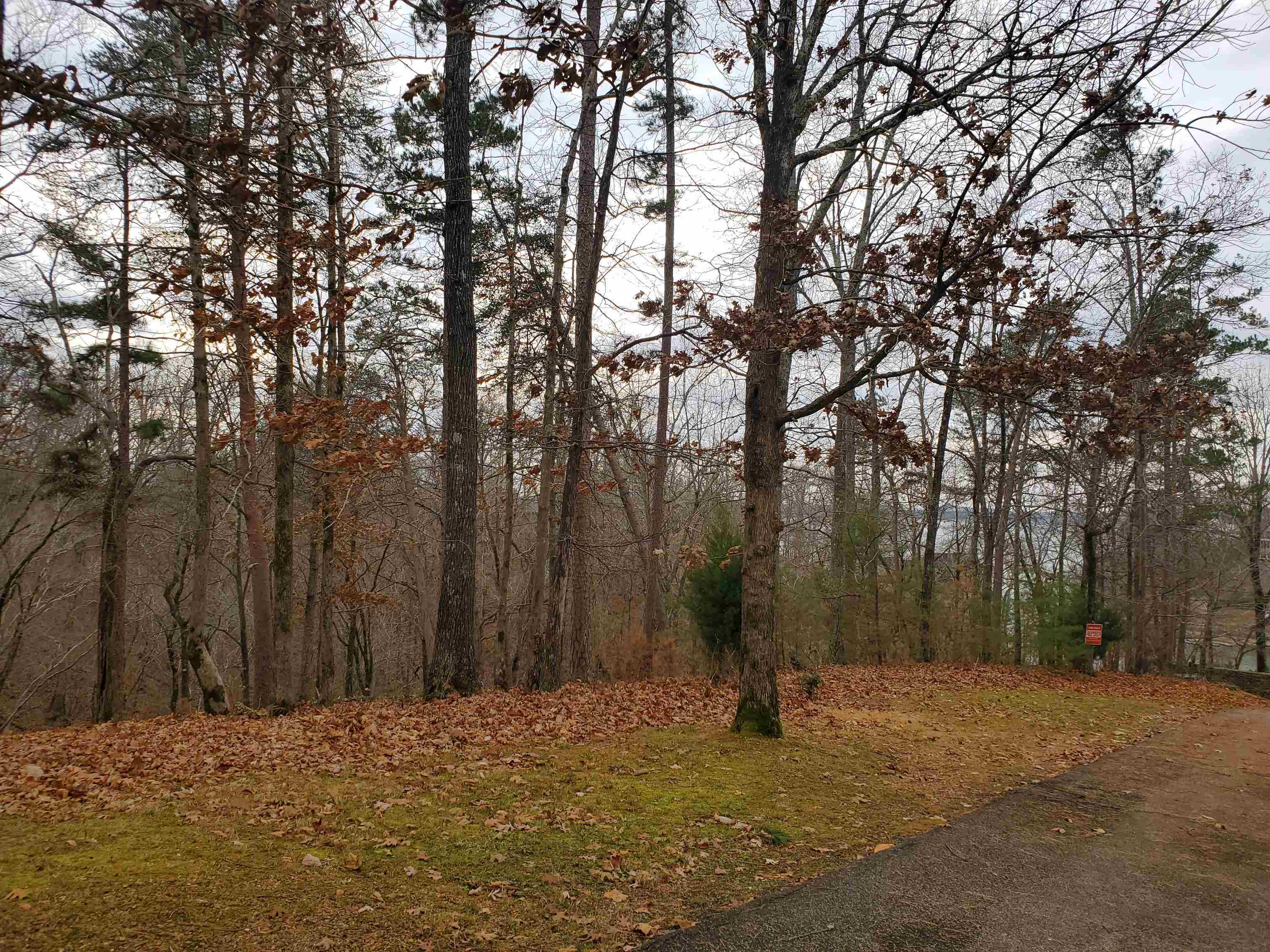 Lot 223 Ridgeview Cove Savannah, TN 38372 - Photo 2 of 12 a view of a yard with large trees