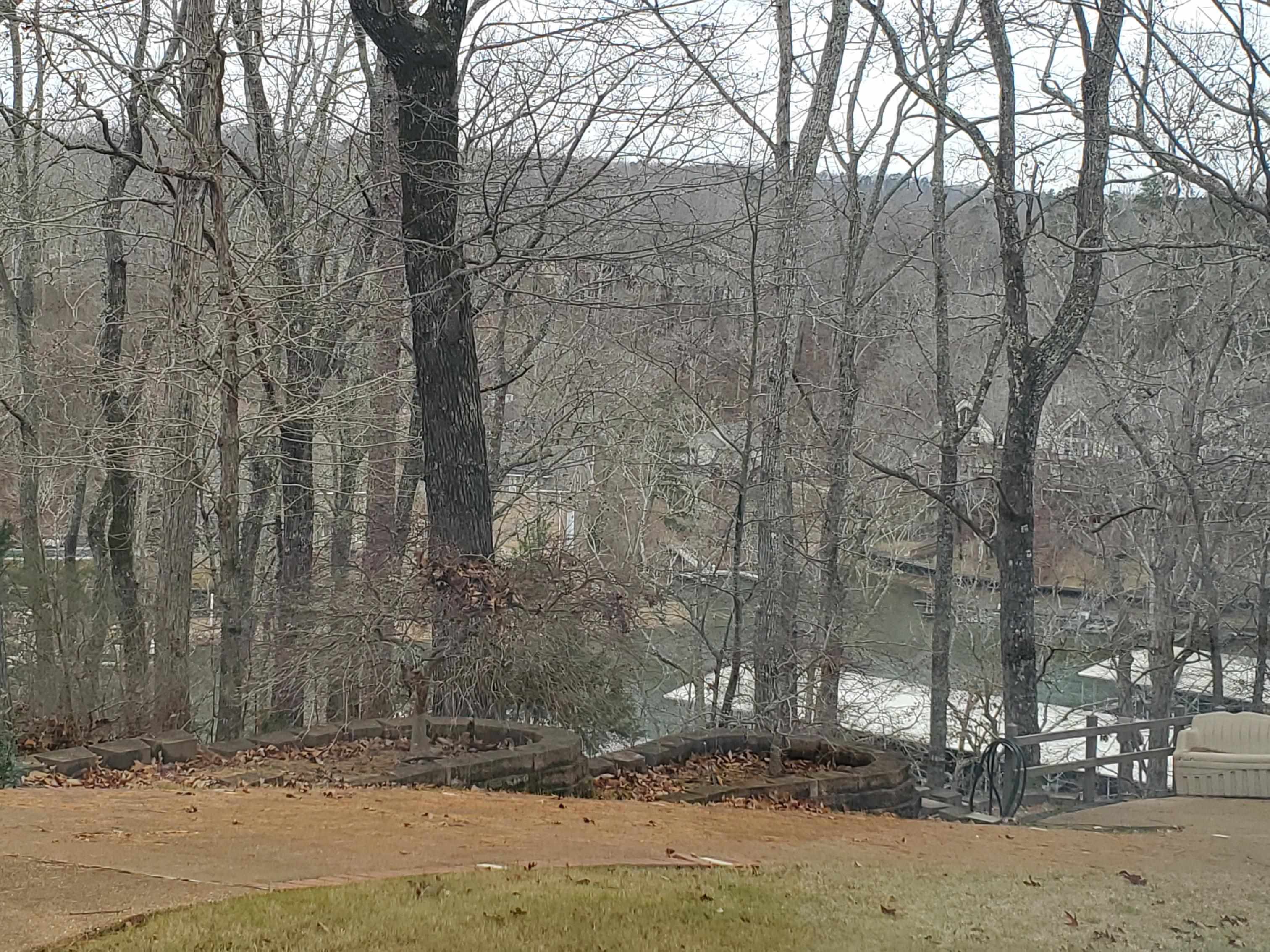 Lot 223 Ridgeview Cove Savannah, TN 38372 - Photo 5 of 12 a street view with large trees