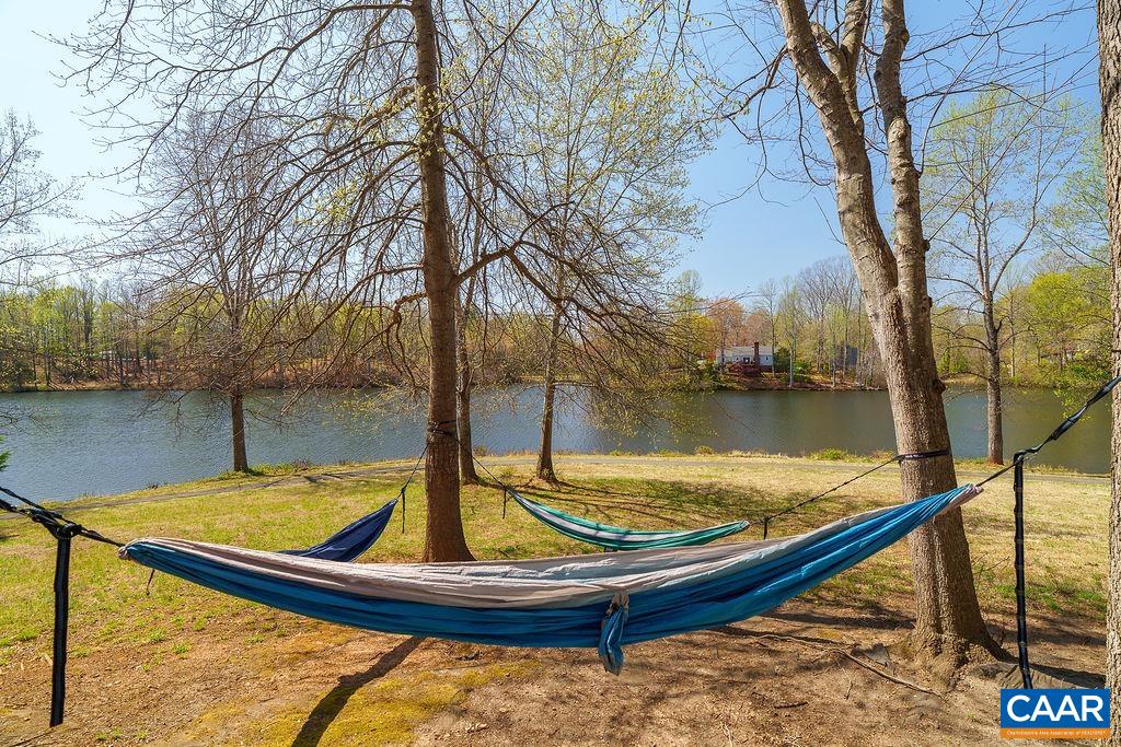 2976 Cove Trace Charlottesville, VA 22911 - Photo 56 of 62