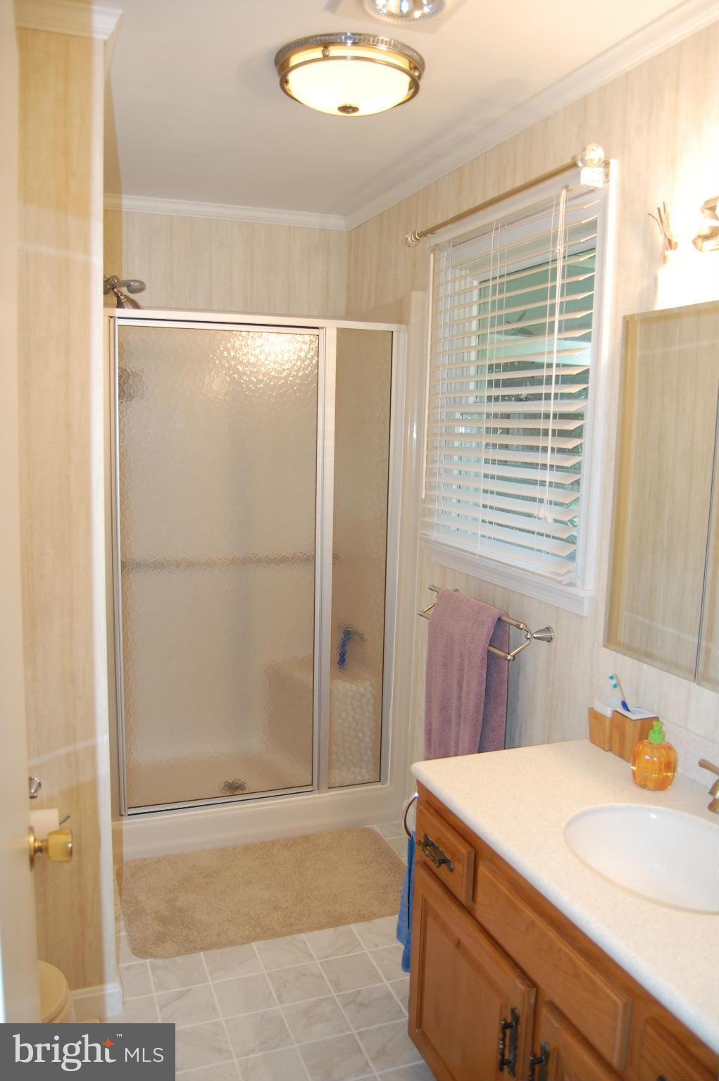 9485 Quail Run Road Denton, MD 21629 - Photo 17 of 28 Bath (Master)