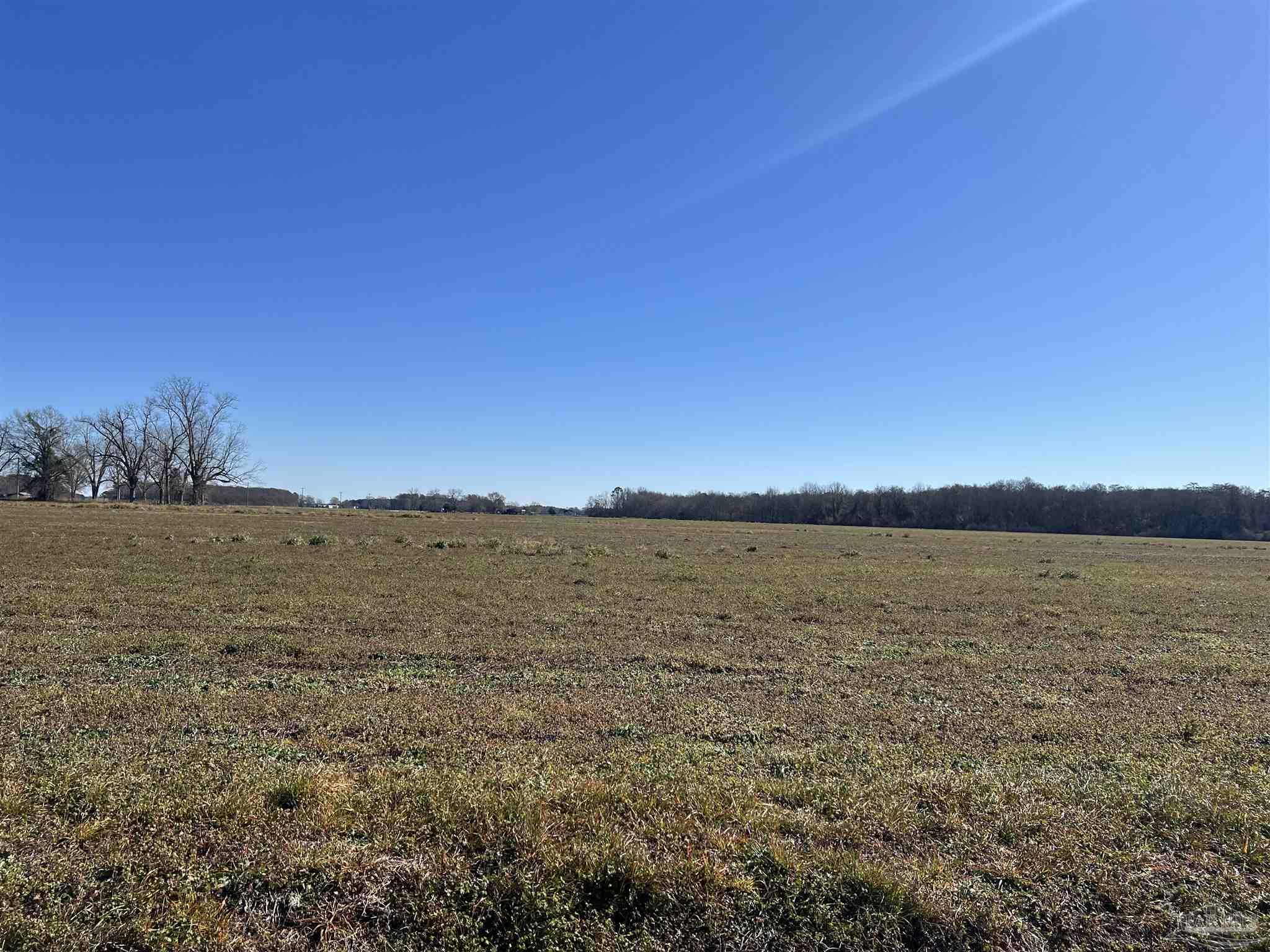 800-block Pouncey Road Atmore, AL 36502 - Photo 5 of 7 a view of lake and mountain