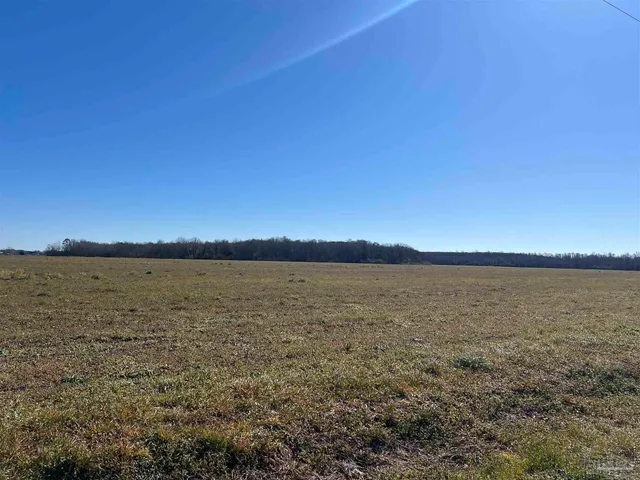 a view of an ocean beach