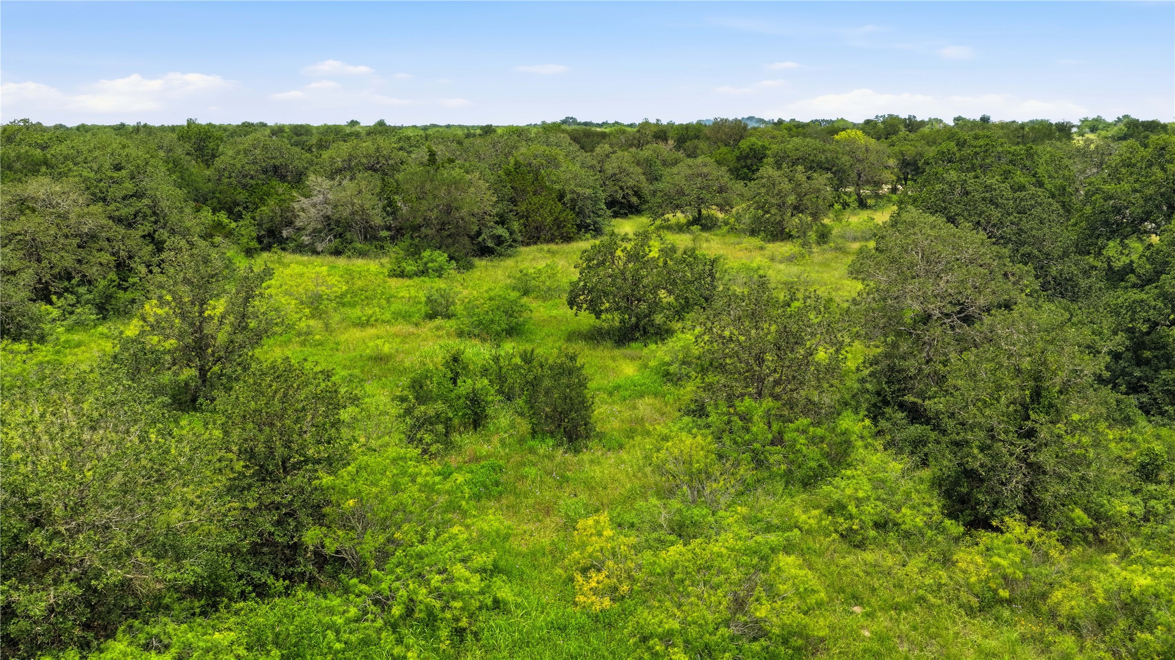 10312 Parsons Road Manor, TX 78653 - Photo 19 of 26 Vast green spaces and mature trees create a private, verdant sanctuary.