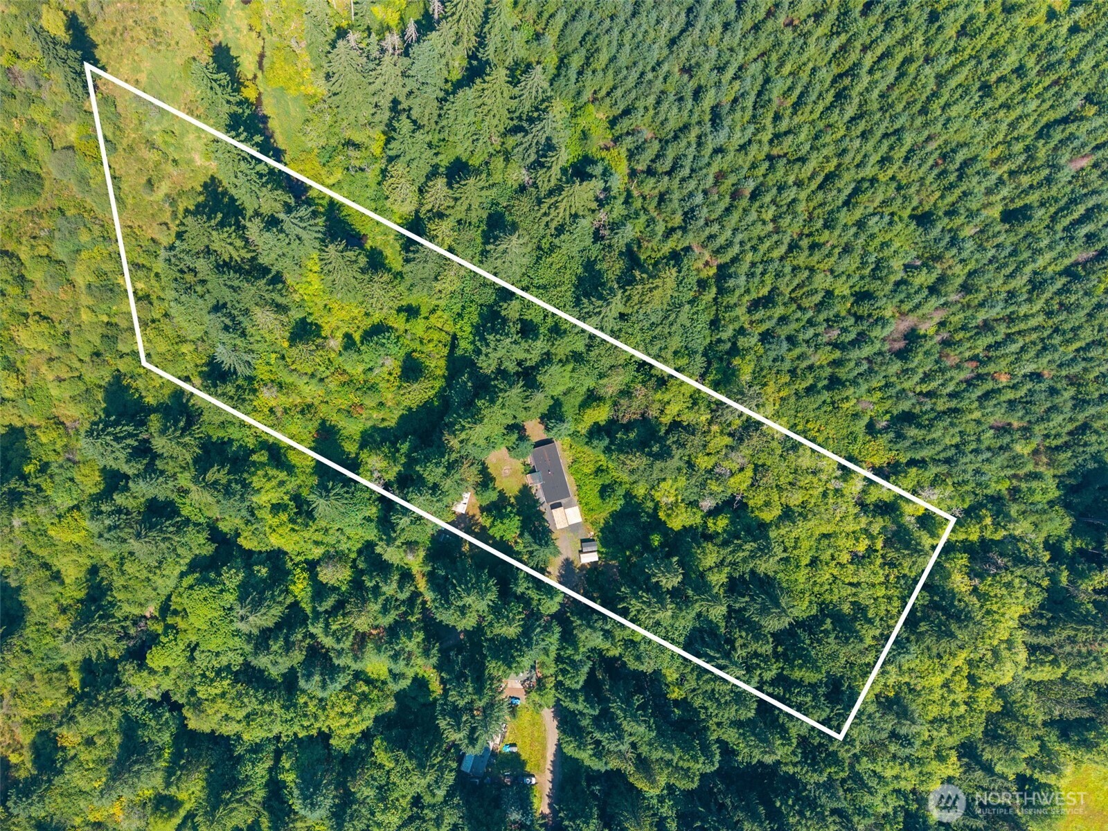 268 Hawkins Road Winlock, WA 98596 - Photo 37 of 38