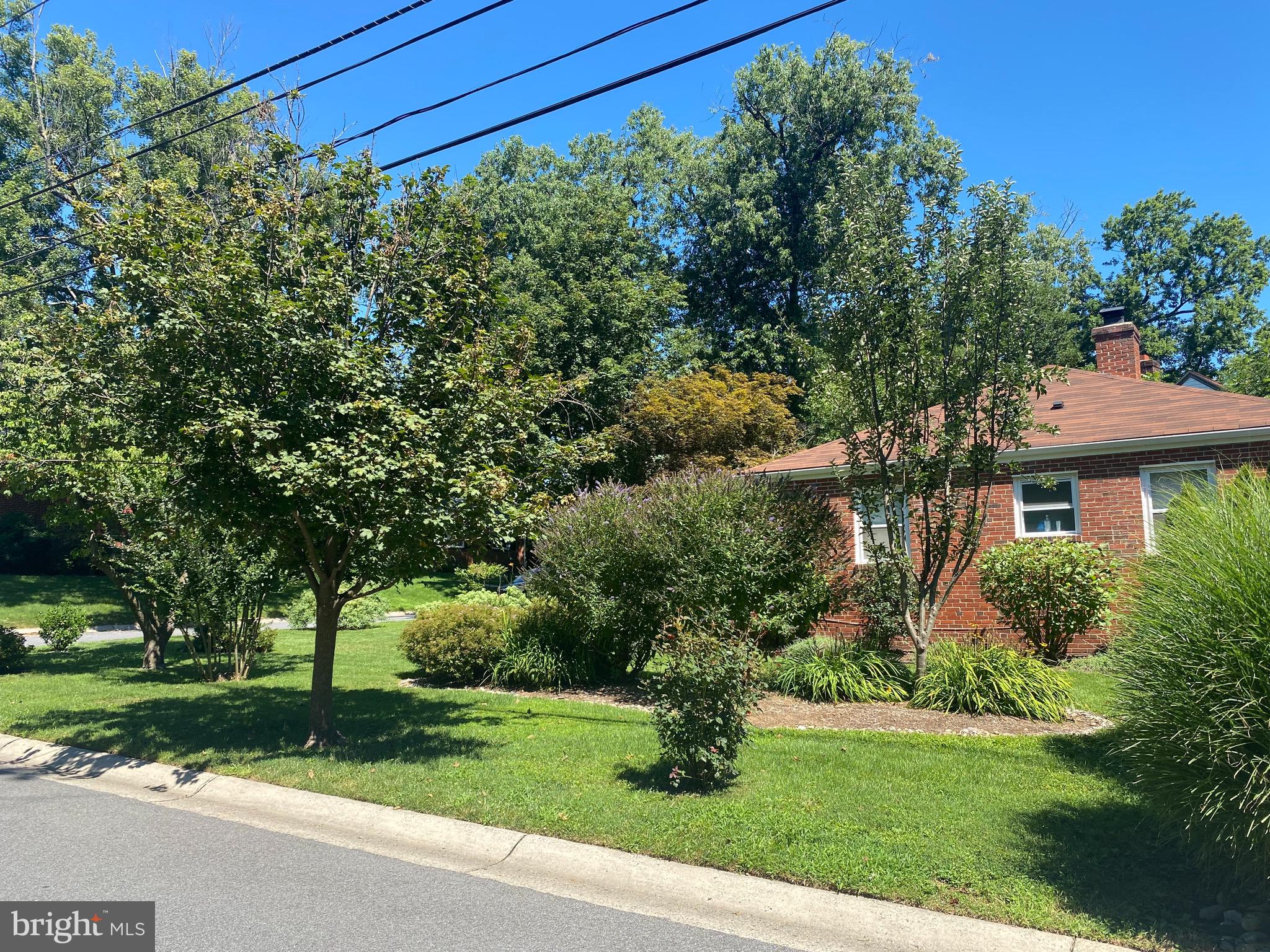 9901 Markham Street Silver Spring, MD 20901 - Photo 41 of 43 Professionally landscaped