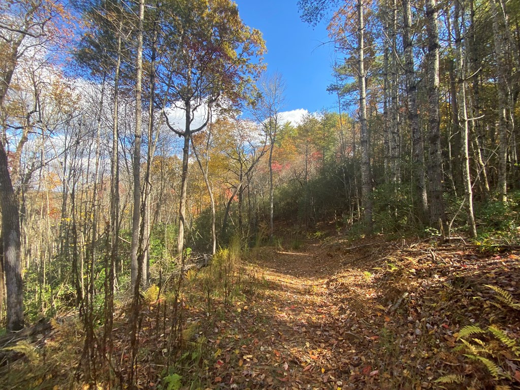 Lot 72 Rainy Farm Road Murphy, NC 28906 - Photo 11 of 17