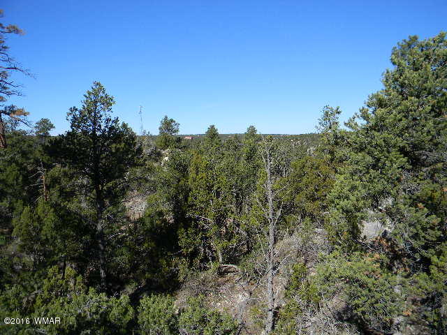 3686 Pine Rim Drive Overgaard, AZ 85933 - Photo 1 of 14
