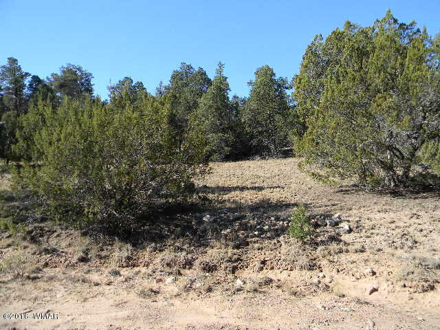 3686 Pine Rim Drive Overgaard, AZ 85933 - Photo 12 of 14