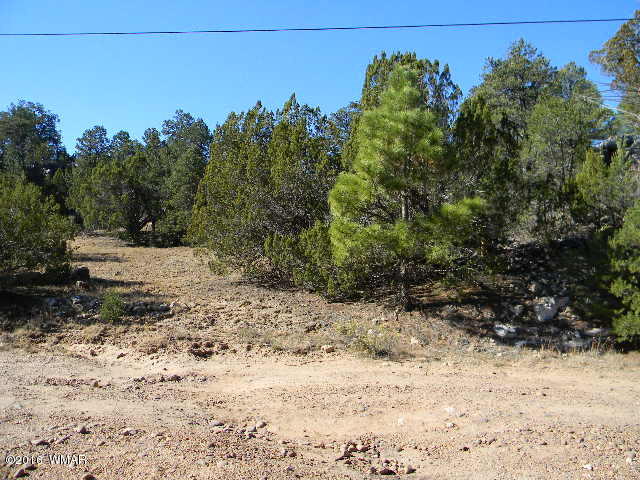 3686 Pine Rim Drive Overgaard, AZ 85933 - Photo 13 of 14