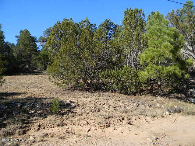 3686 Pine Rim Drive Overgaard, AZ 85933 - Photo 14 of 14
