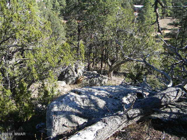 3686 Pine Rim Drive Overgaard, AZ 85933 - Photo 4 of 14