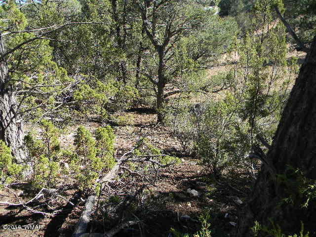 3686 Pine Rim Drive Overgaard, AZ 85933 - Photo 7 of 14