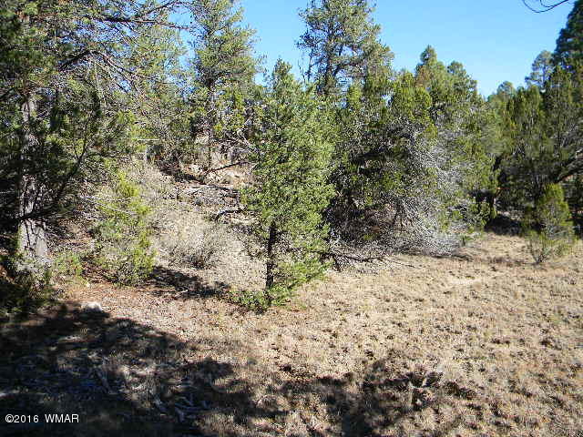 3686 Pine Rim Drive Overgaard, AZ 85933 - Photo 8 of 14