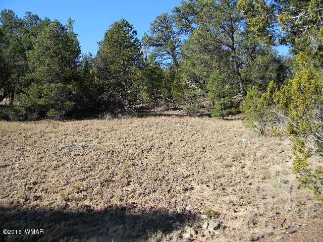 3686 Pine Rim Drive Overgaard, AZ 85933 - Photo 9 of 14