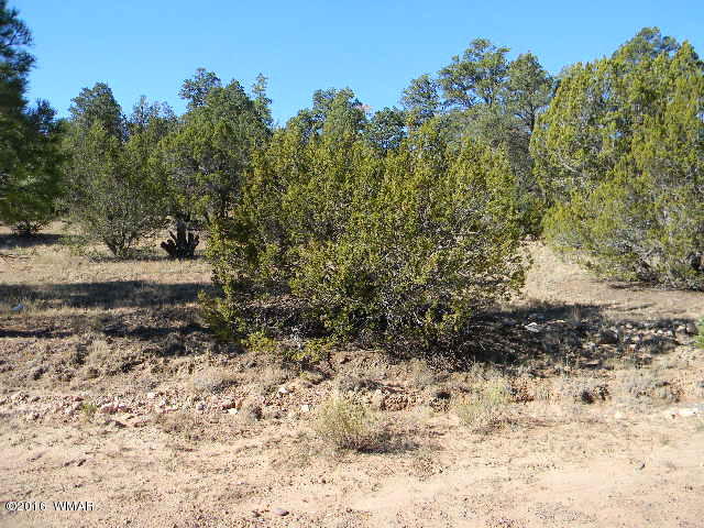3686 Pine Rim Drive Overgaard, AZ 85933 - Photo 10 of 14