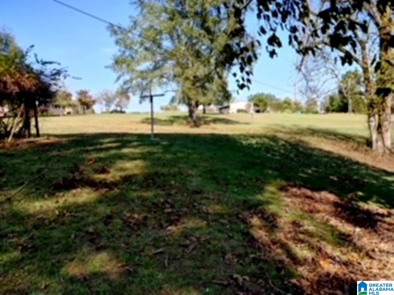 1365 Center Hill Road Trafford, AL 35172 - Photo 6 of 20
