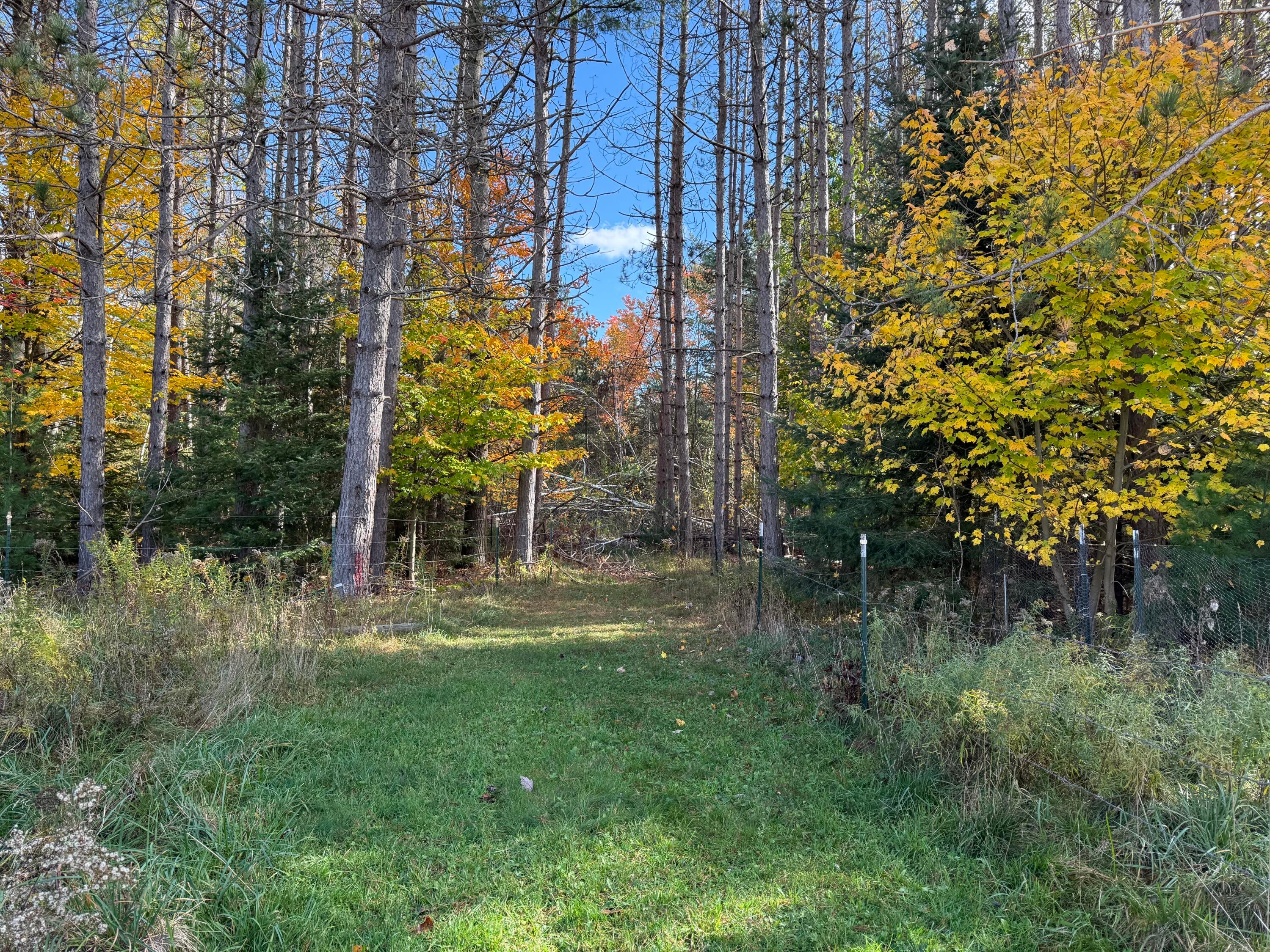 10386 Inverness Trail Road Cheboygan, MI 49721 - Photo 40 of 54 image00058