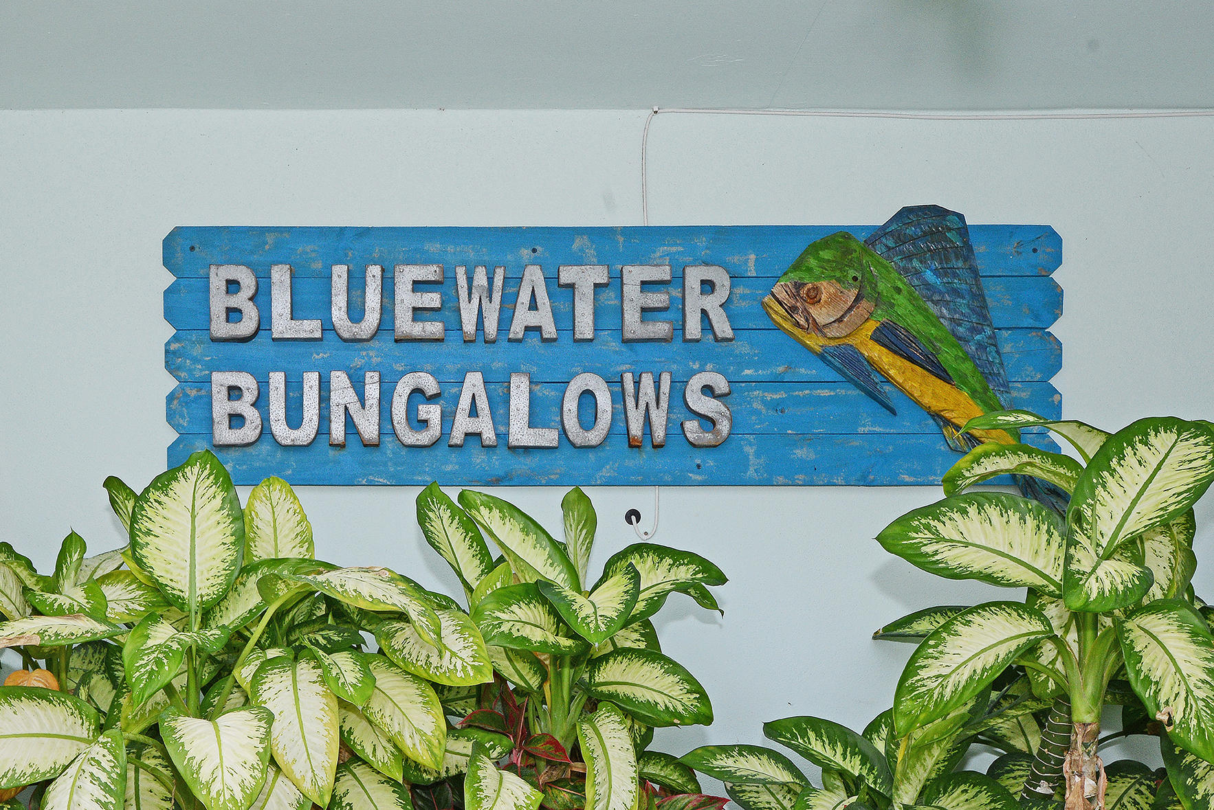 1257 Beach Road Singer Island, FL 33404 - Photo 1 of 71 Bluewater Bungalows