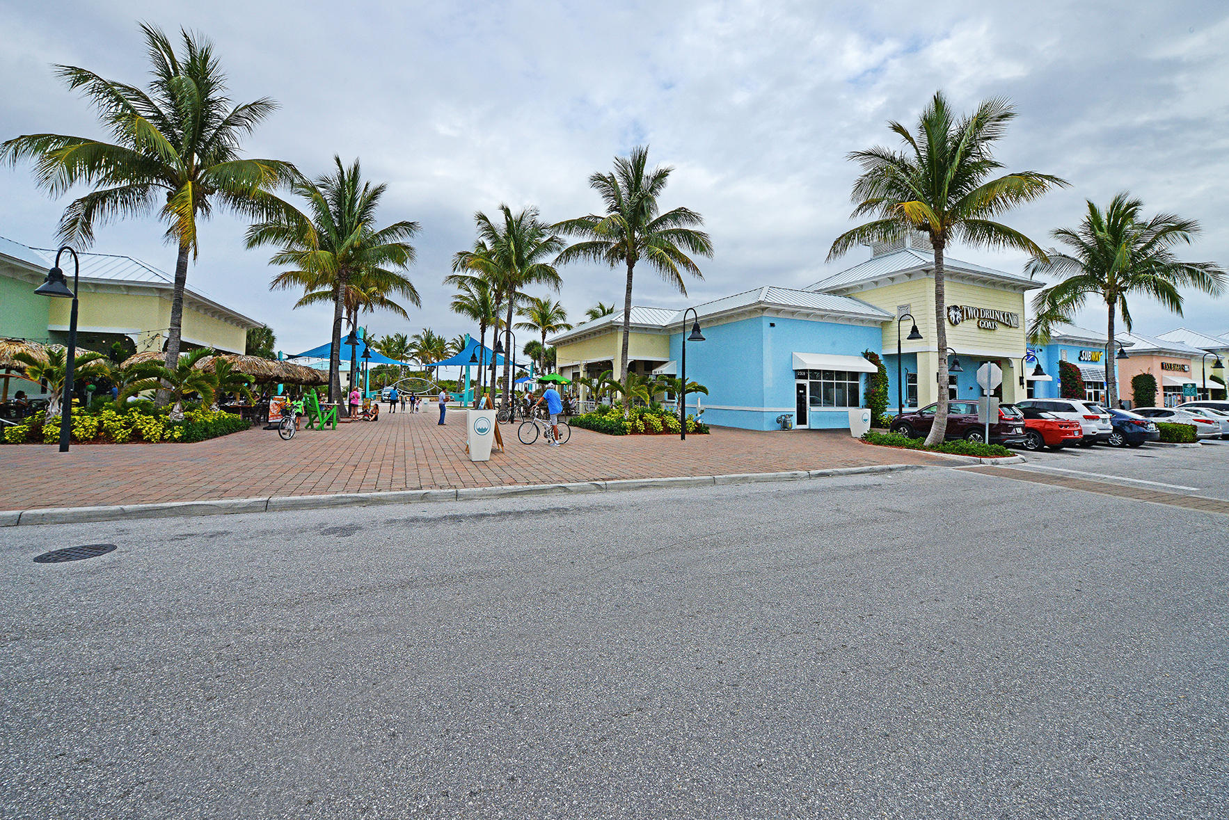 1257 Beach Road Singer Island, FL 33404 - Photo 51 of 71 a palm tree sitting in front of a building with a couple of cars parked on road