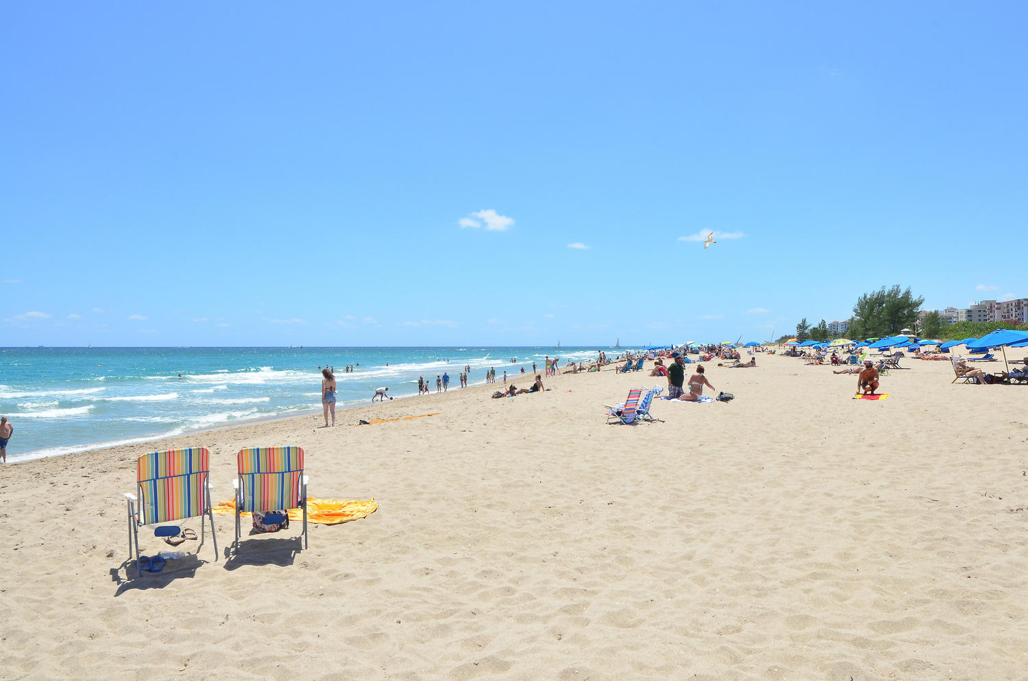 1257 Beach Road Singer Island, FL 33404 - Photo 67 of 71 1257 Beach Rd West Palm Beach-large-065-
