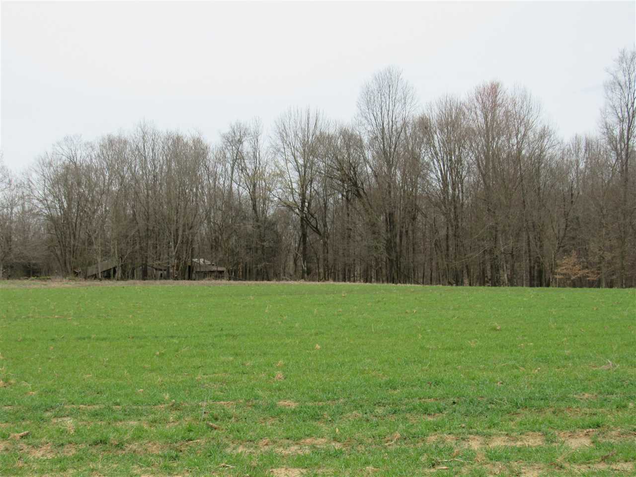8000 Capitol Hill Road Fountain Run, KY 42133 - Photo 7 of 10 Gallery Image 7