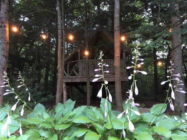 469 German Flats Road Fayston, VT 05673 - Photo 34 of 40 Gallery Image 34
