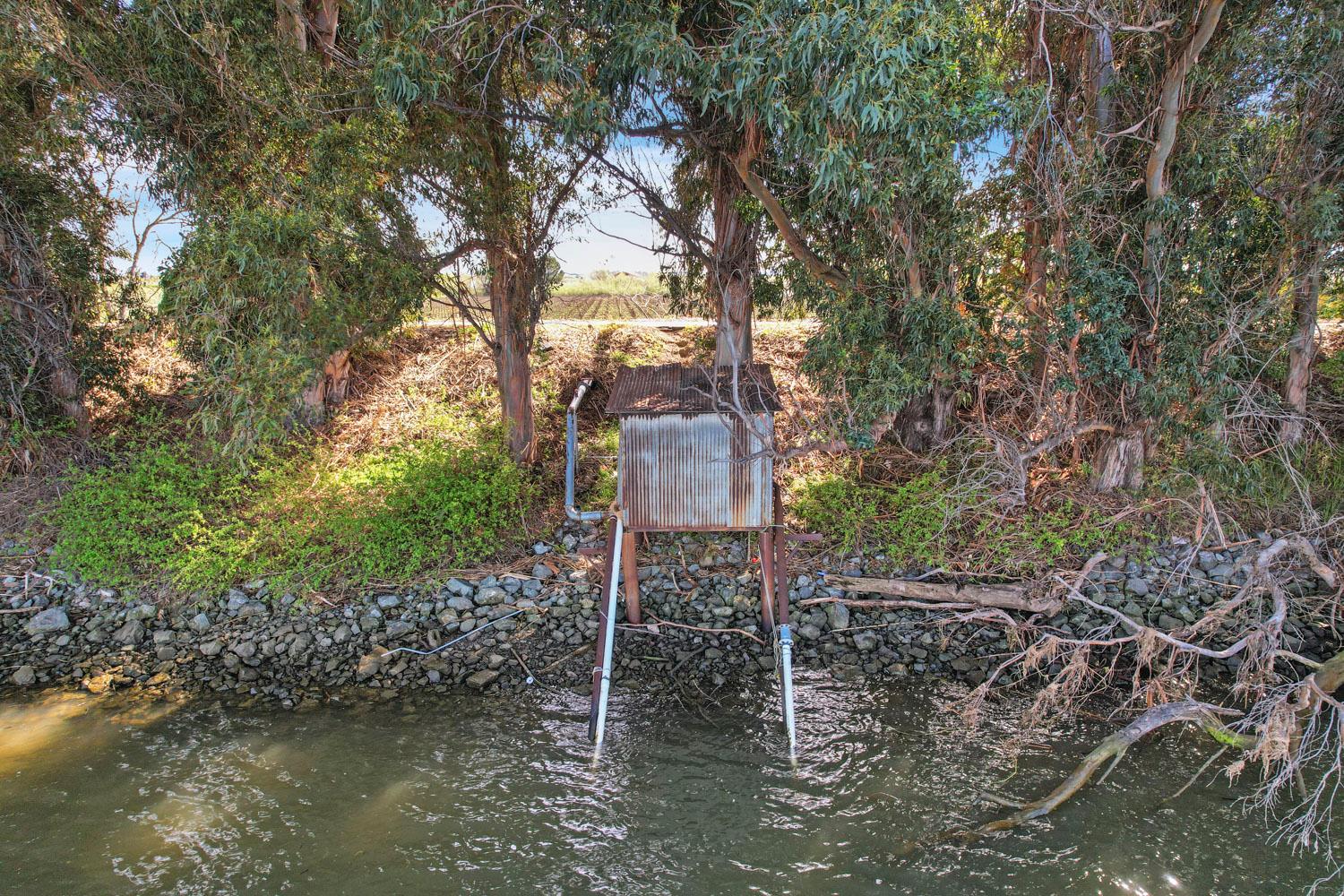 16550 Highway 160 Rio Vista, CA 94571 - Photo 13 of 26 a backyard of a house with lots of trees