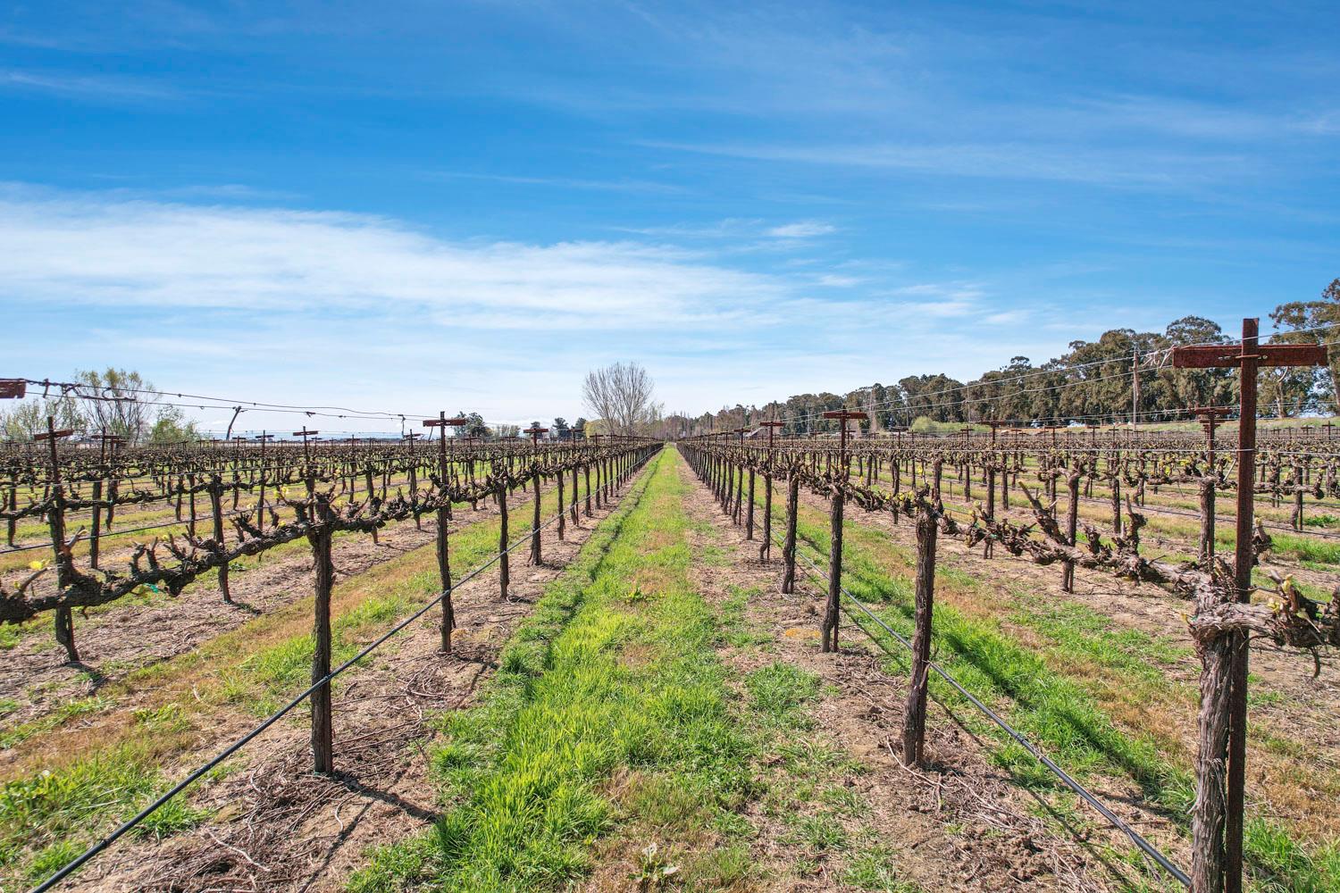 16550 Highway 160 Rio Vista, CA 94571 - Photo 21 of 26 a view of a city and ocean view