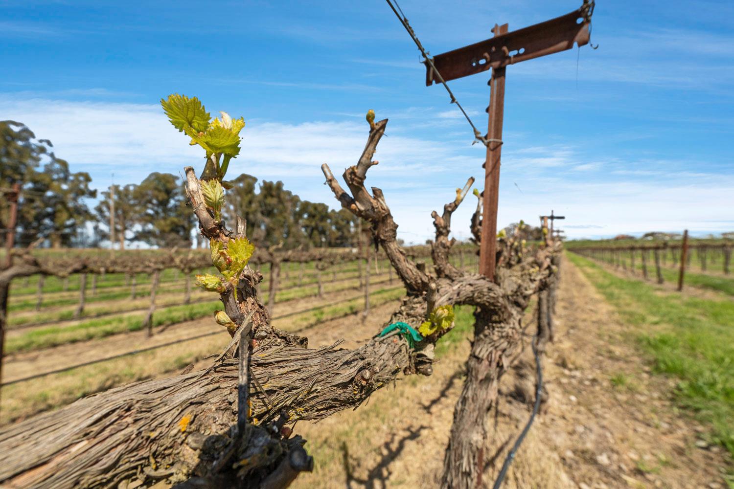 16550 Highway 160 Rio Vista, CA 94571 - Photo 24 of 26 a view of a lake