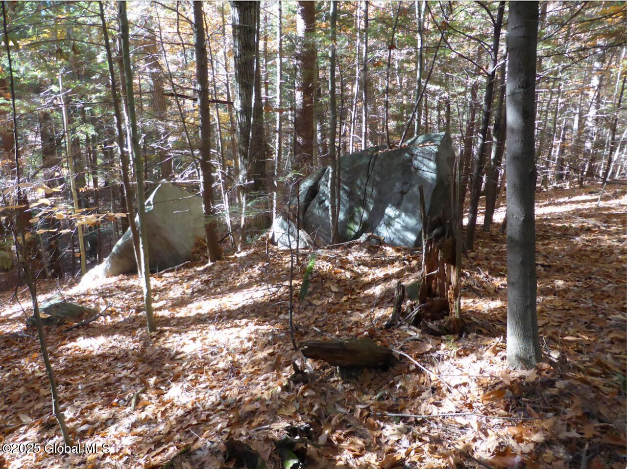 487 Antone Mountain Road Hadley, NY 12822 - Photo 6 of 10 Screenshot D Two boulders
