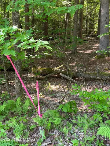 $93,000 | 487 Antone Mountain Road, Hadley, NY 12822