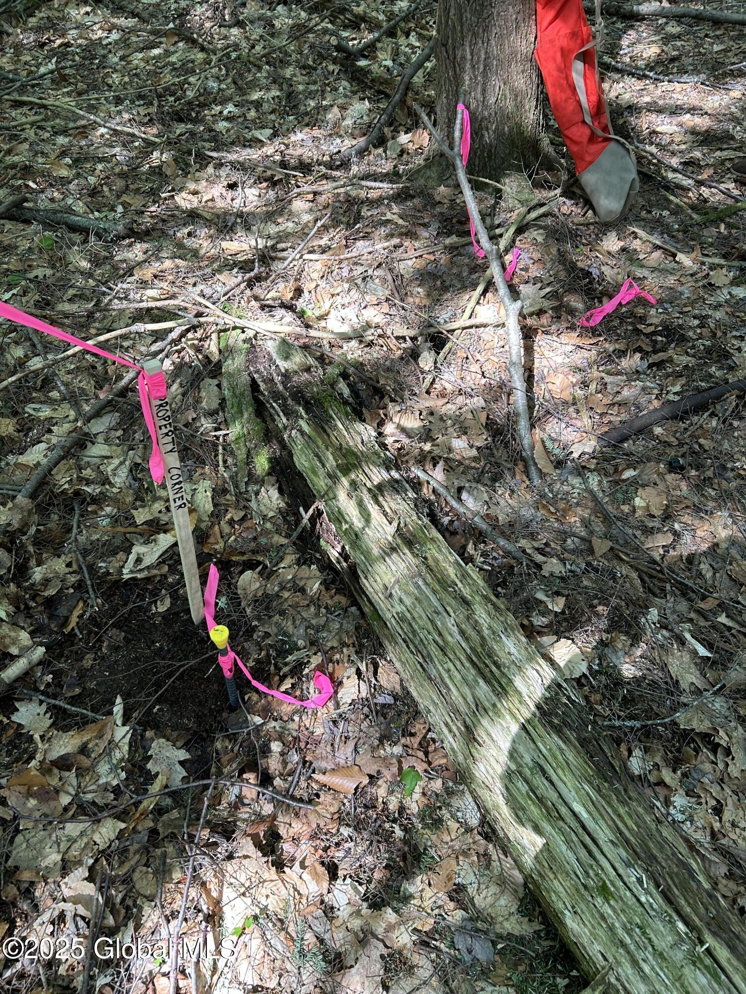 487 Antone Mountain Road Hadley, NY 12822 - Photo 9 of 10 SE coner 487 Antone Mtn Rd