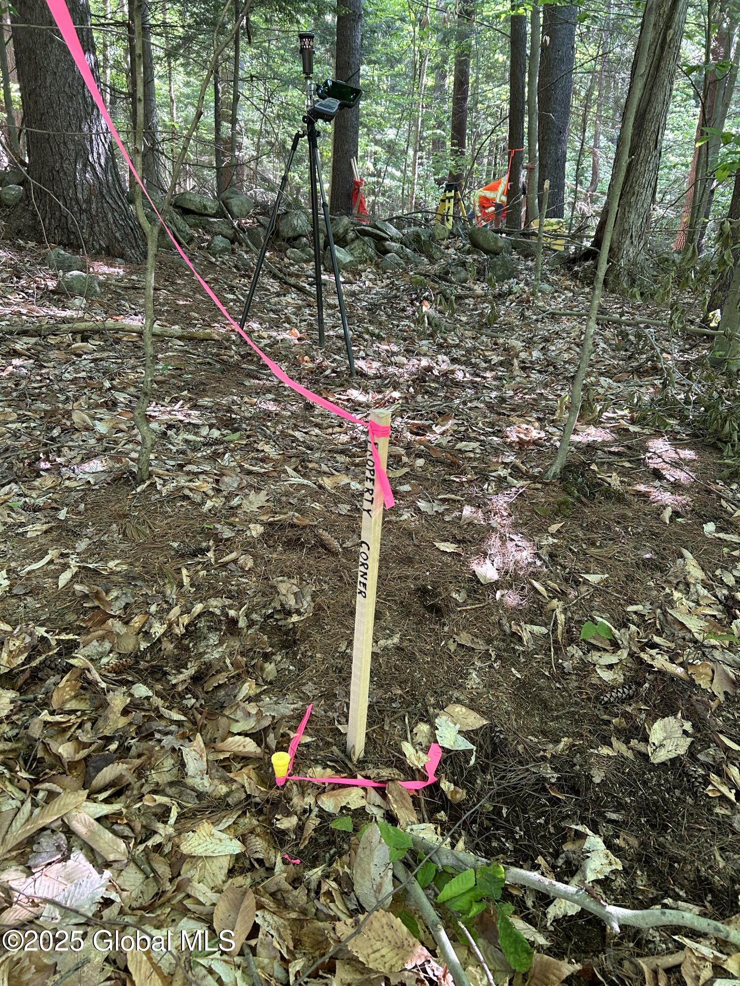 487 Antone Mountain Road Hadley, NY 12822 - Photo 10 of 10 SW corner 487 Antone Mtn Rd