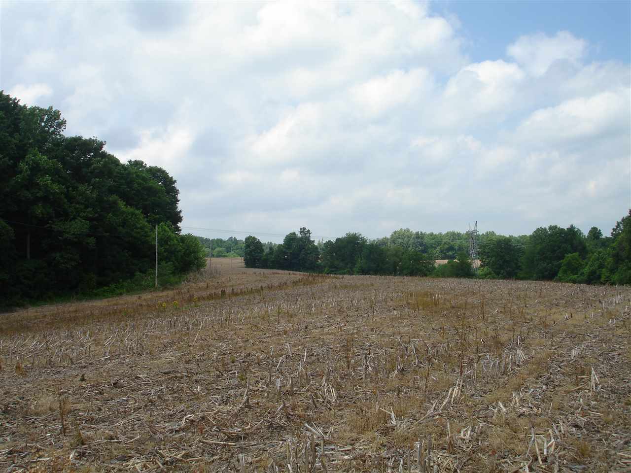 Jenkins Road Williams, IN 47470 - Photo 1 of 7