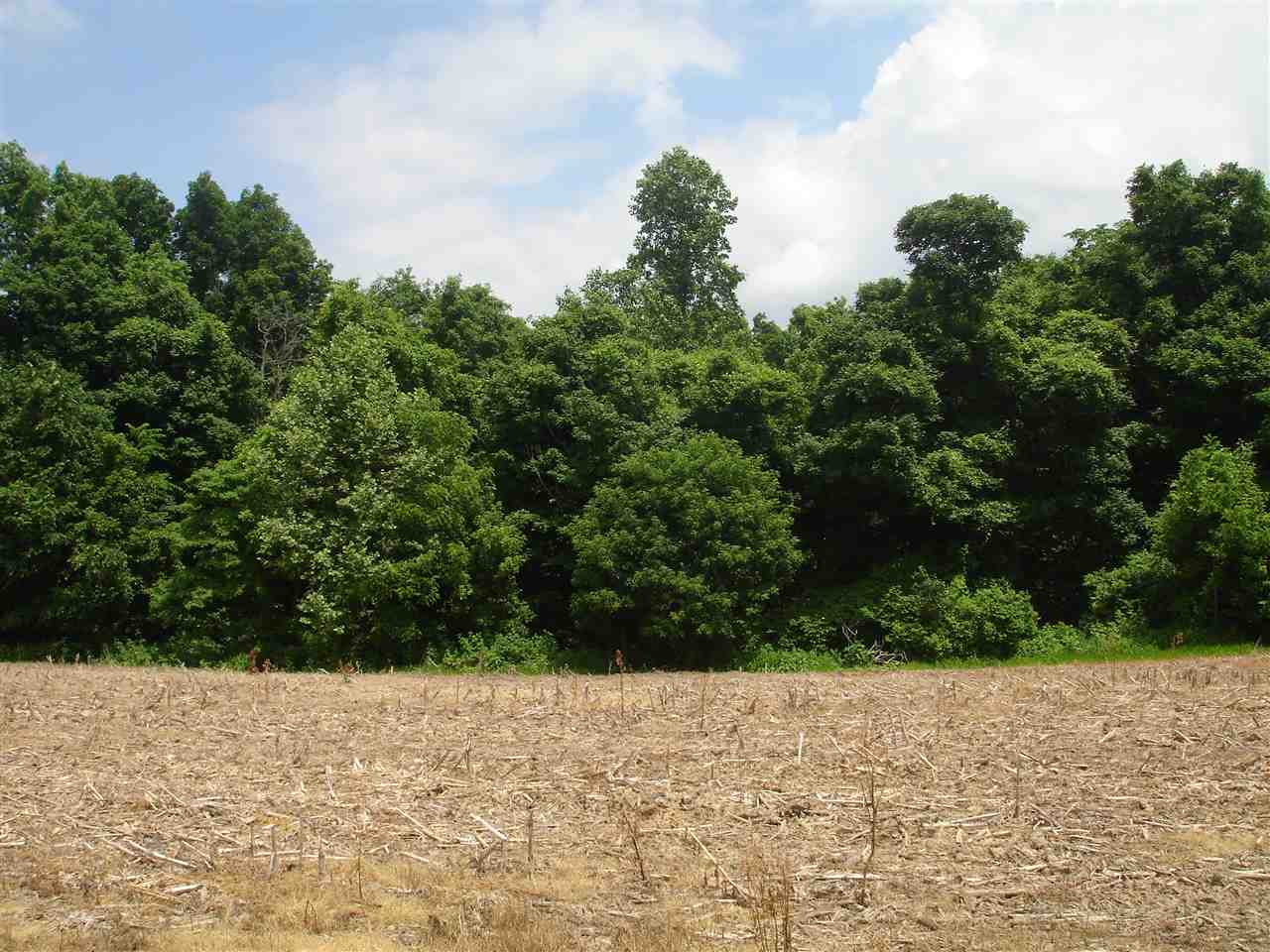 Jenkins Road Williams, IN 47470 - Photo 2 of 7