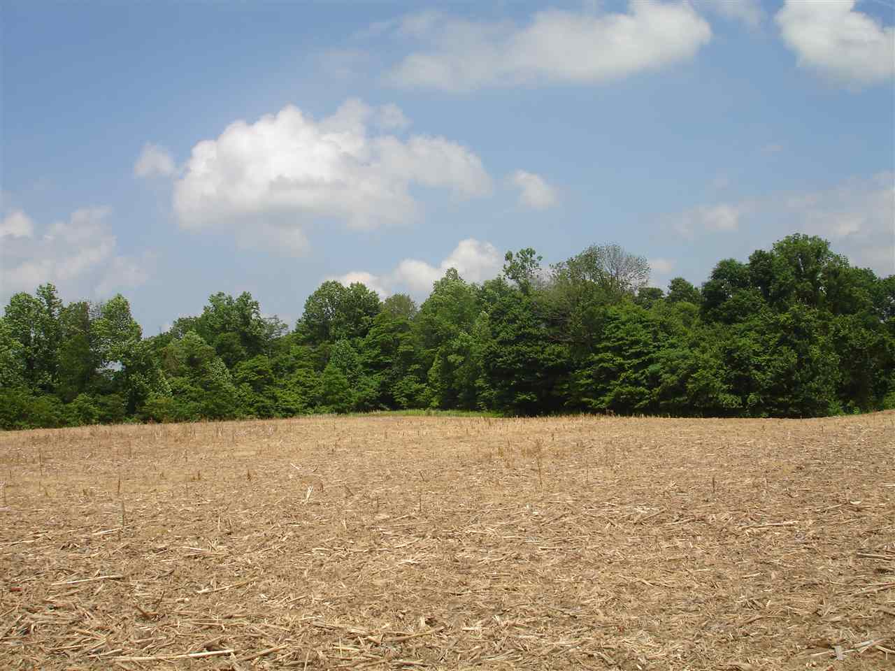 Jenkins Road Williams, IN 47470 - Photo 3 of 7