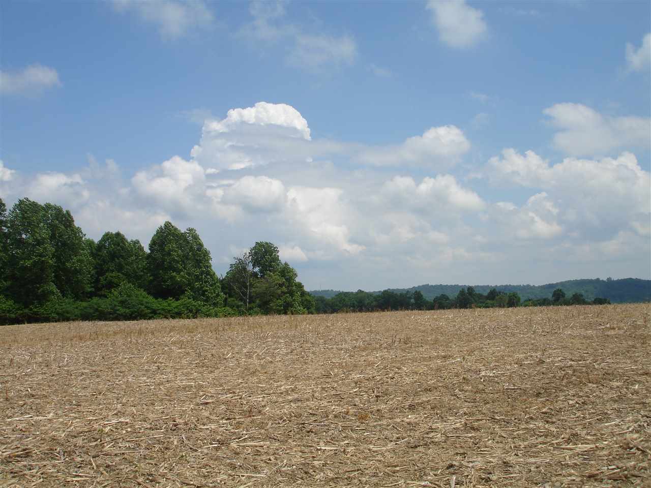 Jenkins Road Williams, IN 47470 - Photo 4 of 7