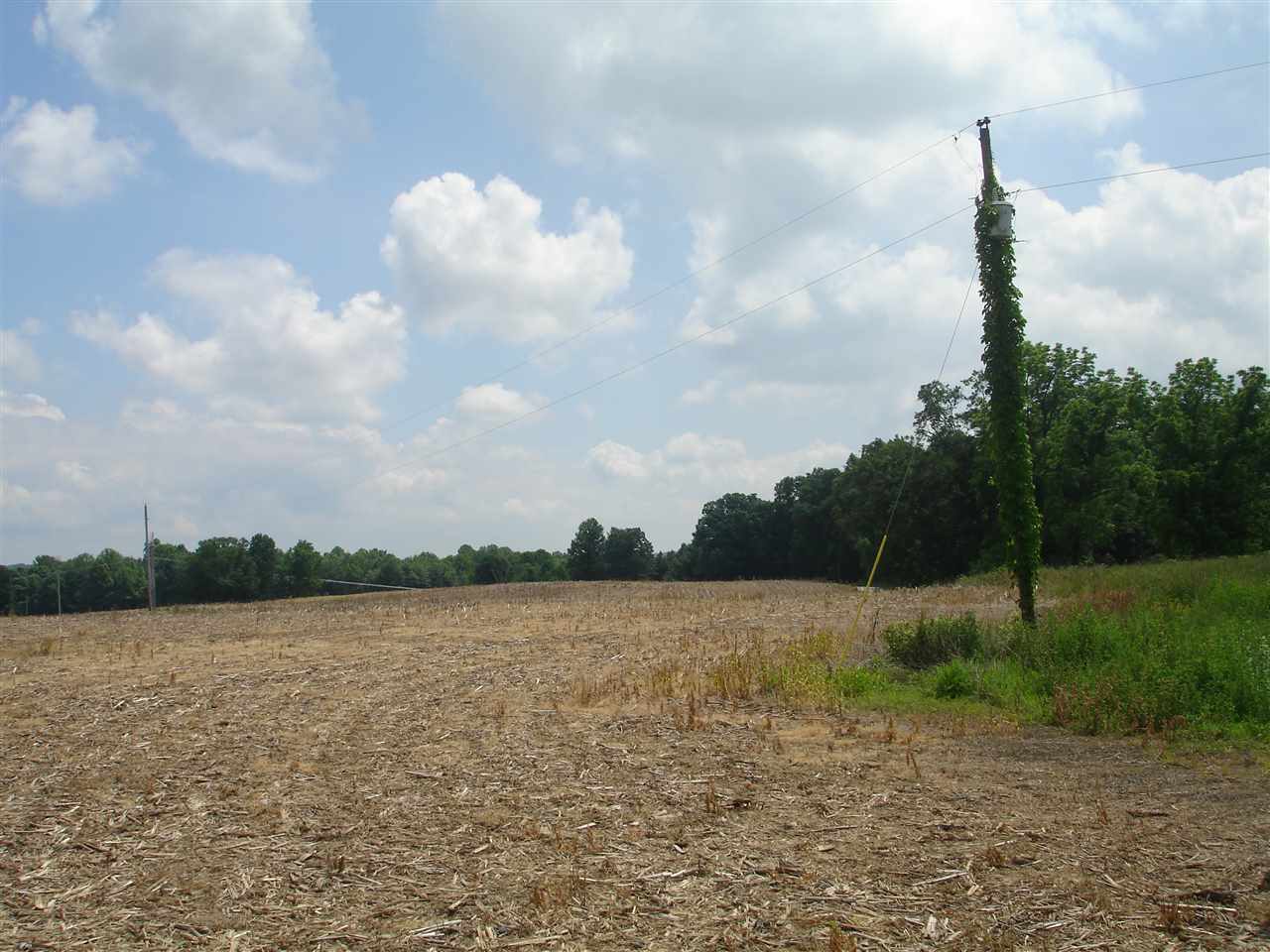 Jenkins Road Williams, IN 47470 - Photo 5 of 7
