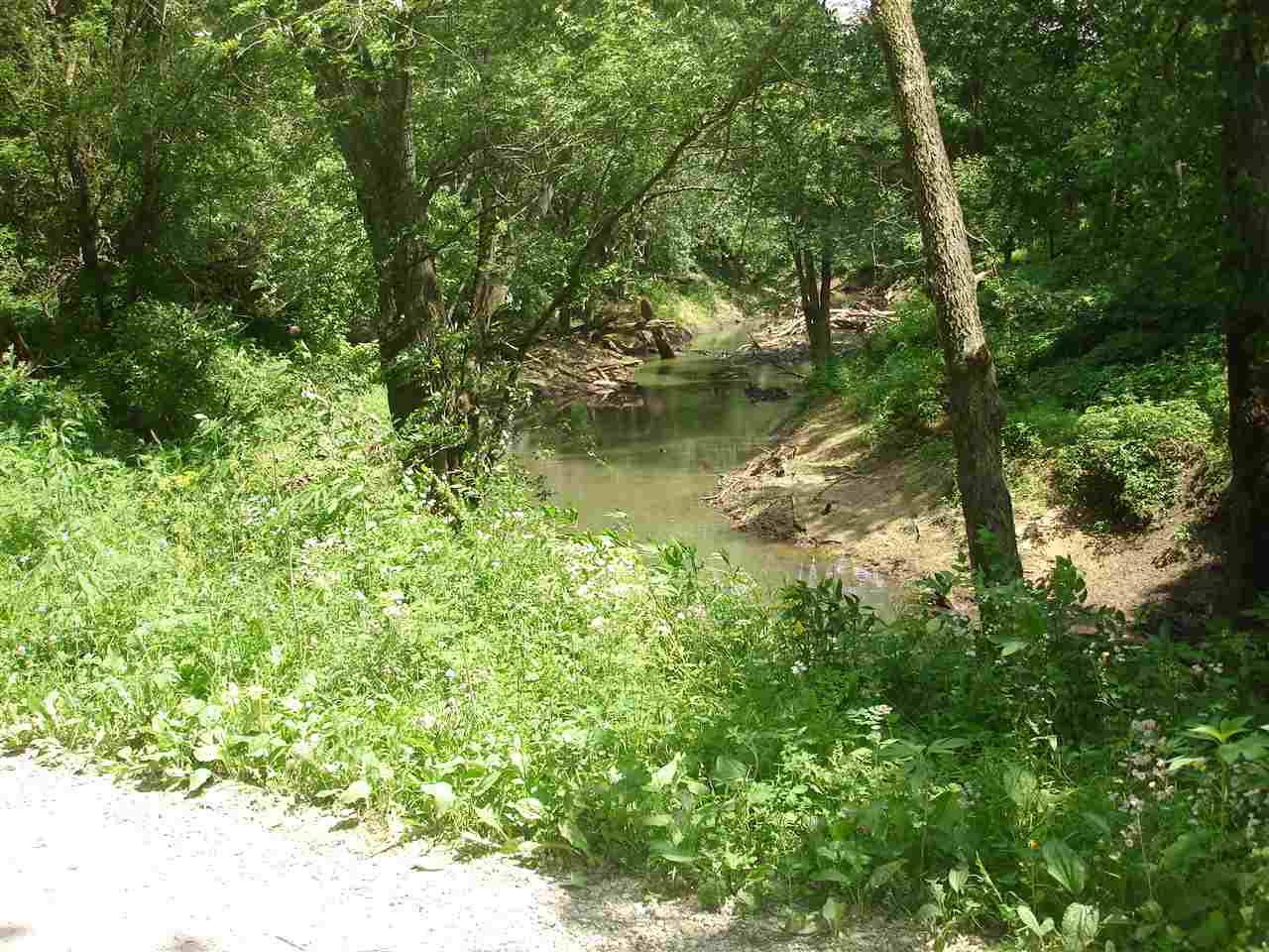 Jenkins Road Williams, IN 47470 - Photo 6 of 7