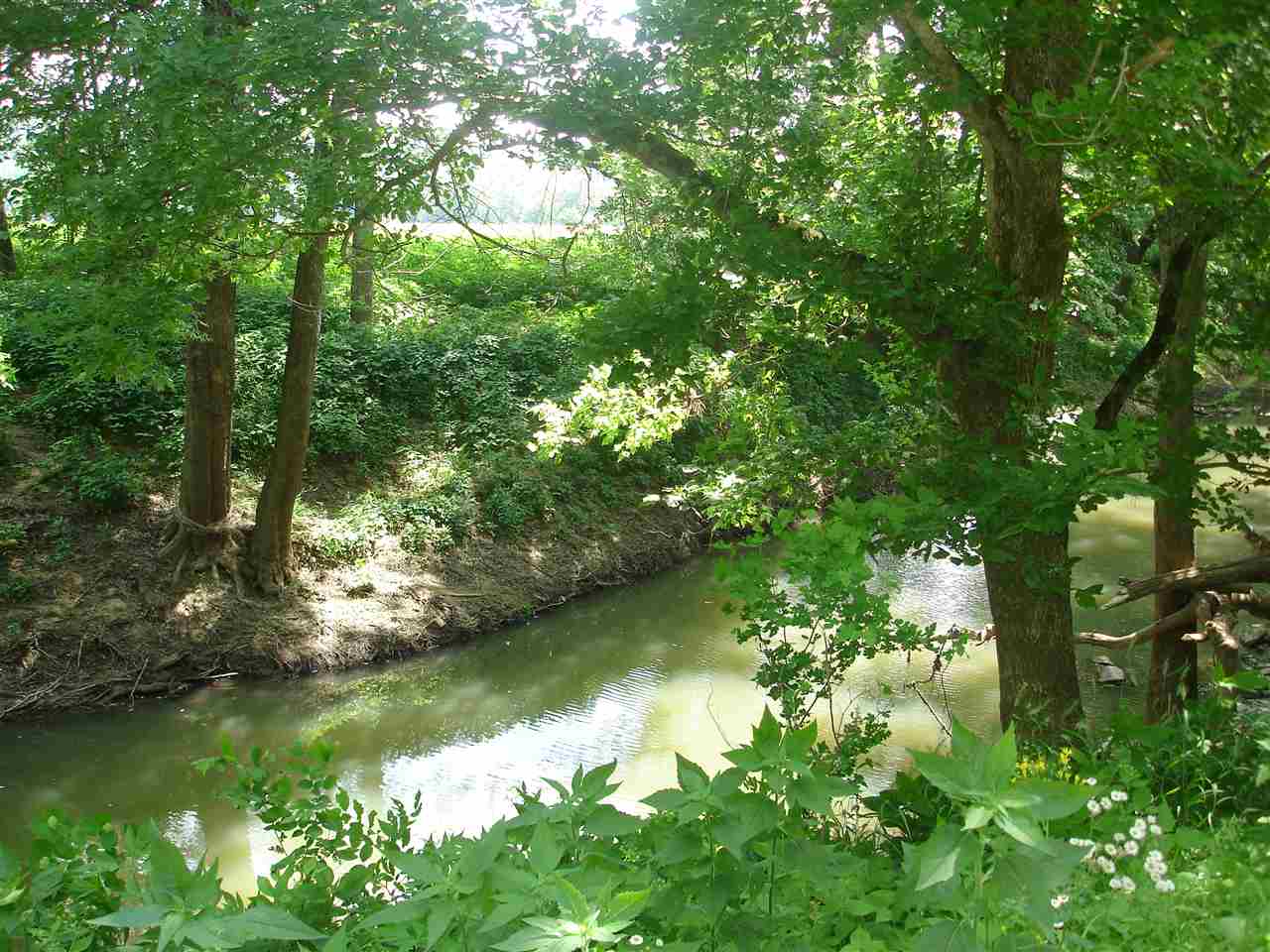Jenkins Road Williams, IN 47470 - Photo 7 of 7